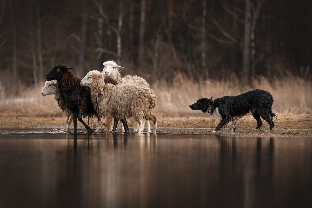 Photograph by Ольга Легенькая
