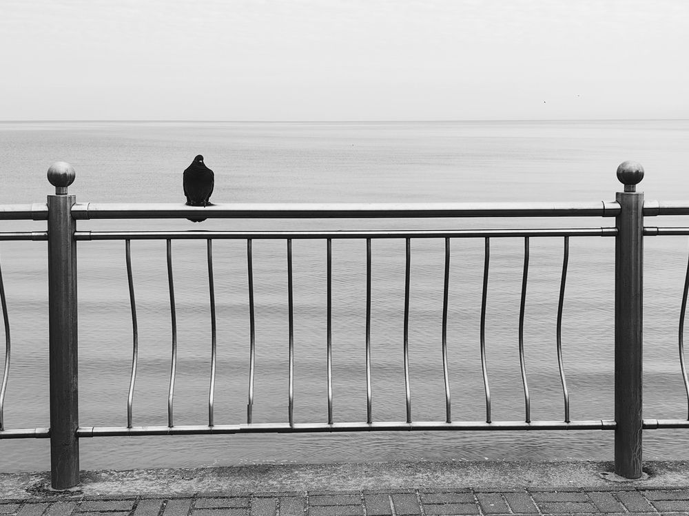 Photograph by Елена Акимова