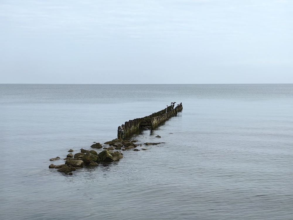 Photograph by Елена Акимова