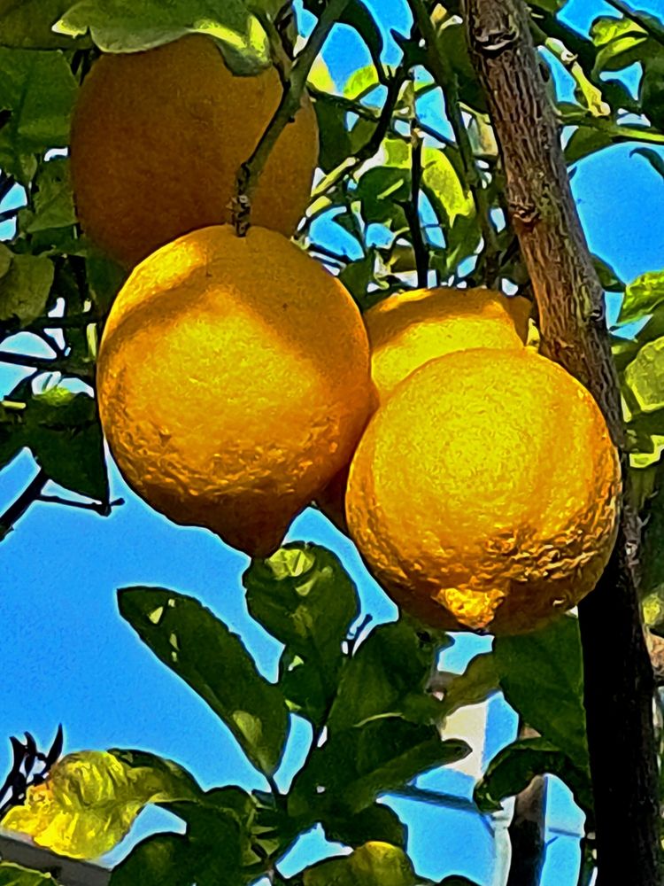 Photograph by Сергей Рапопорт
