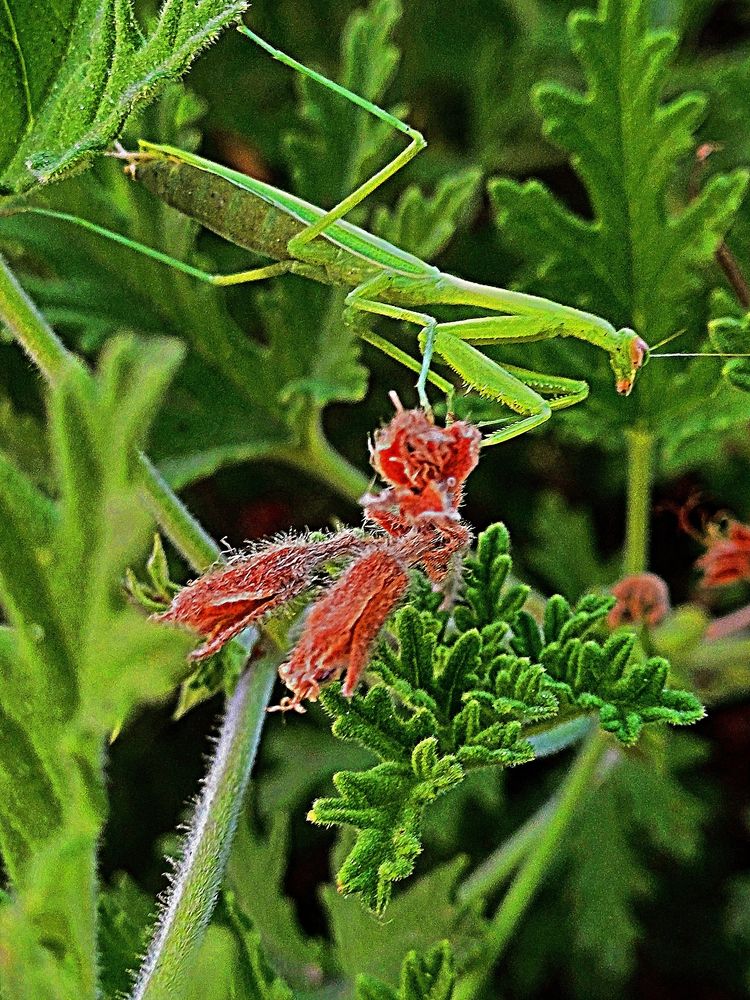 Photograph by Сергей Рапопорт