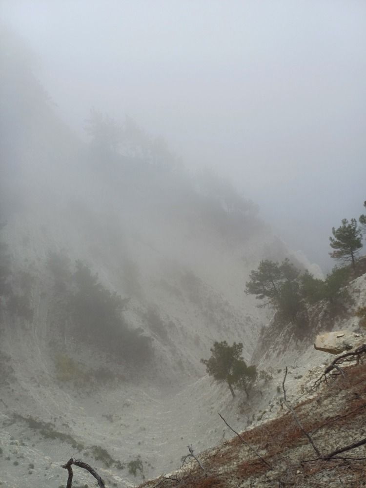 Photograph by Елена Казаренко