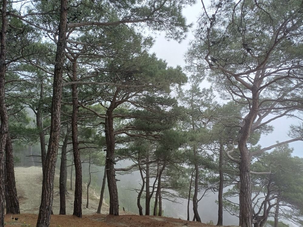 Photograph by Елена Казаренко