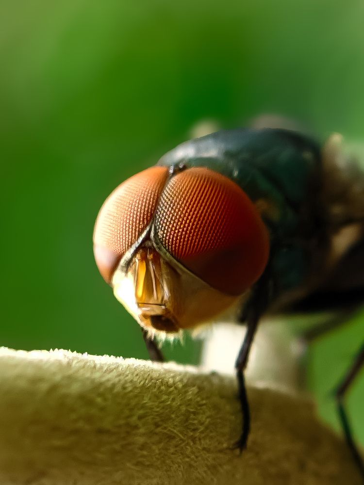 Photograph by Ameen Ahmed L