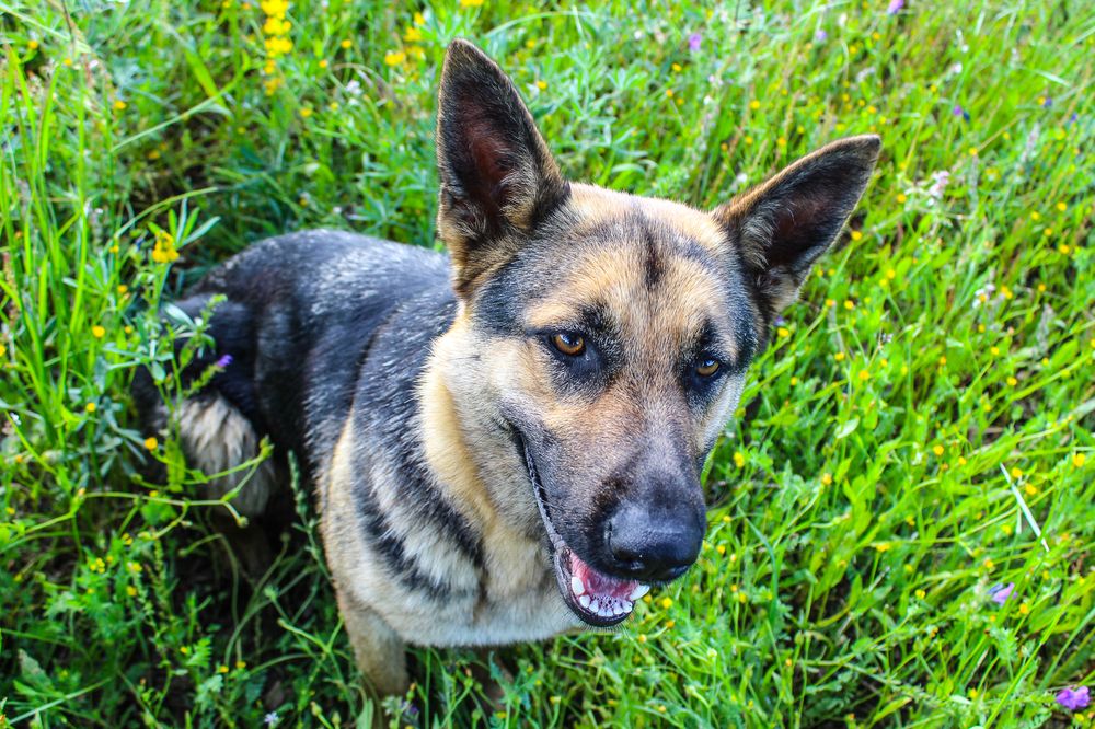 Photograph by Francisco Ferreira