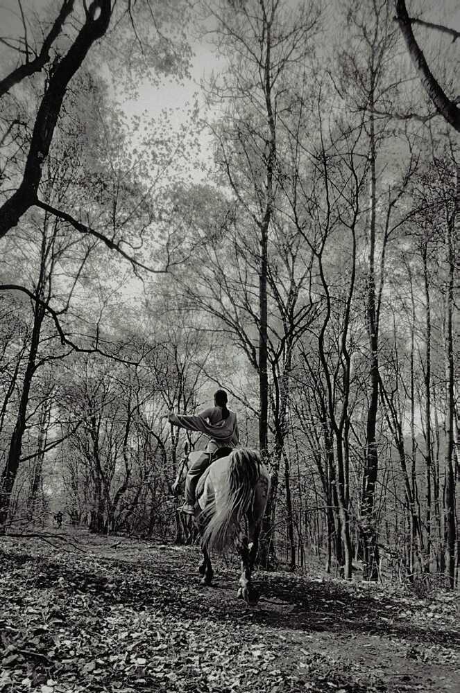 Photograph by Марина Юсупова