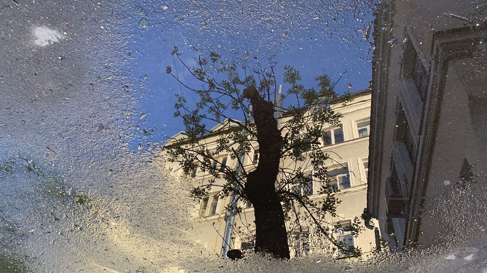 Арт ЛУЖники (ArtPuddle)