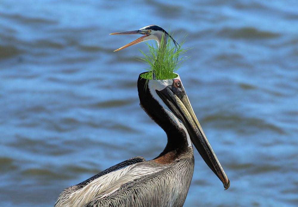 The Weight of the Uninvited