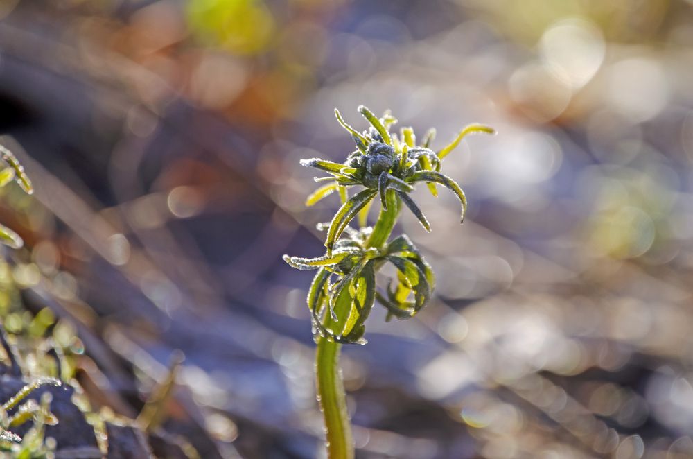 Photograph by Любовь Бусова