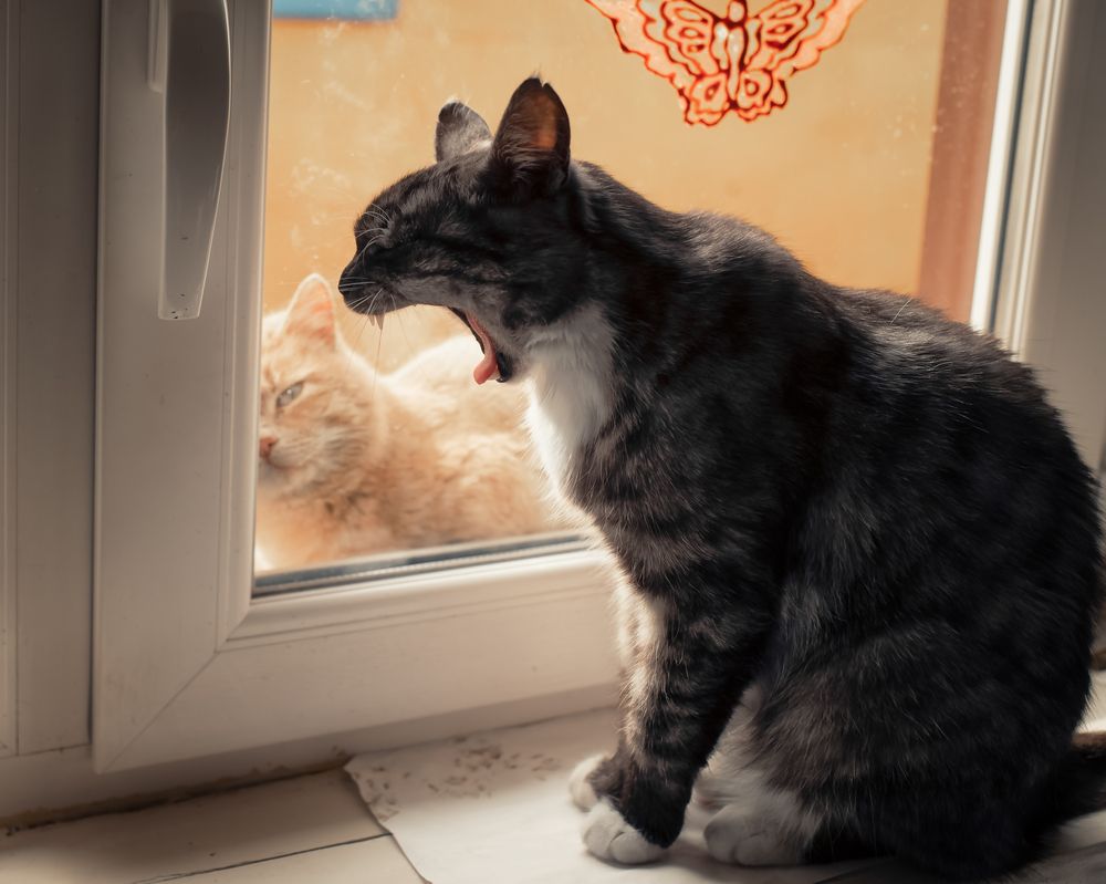 Photograph by Тамара Вотинцева