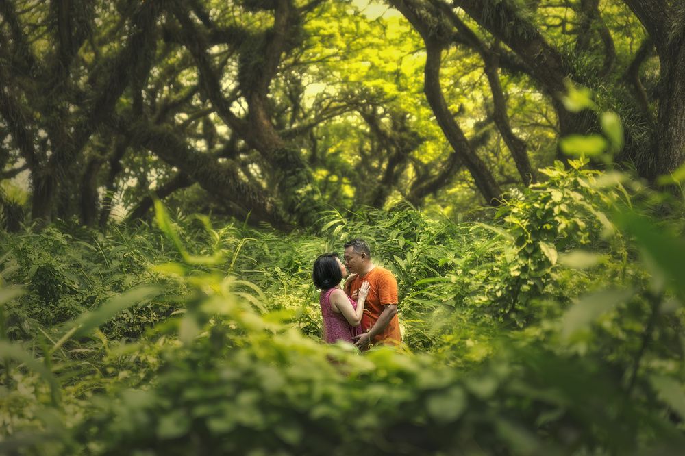 We remain together in the forest