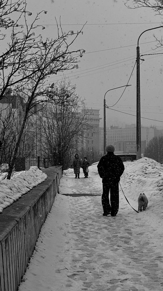 Photograph by Галина Скребей