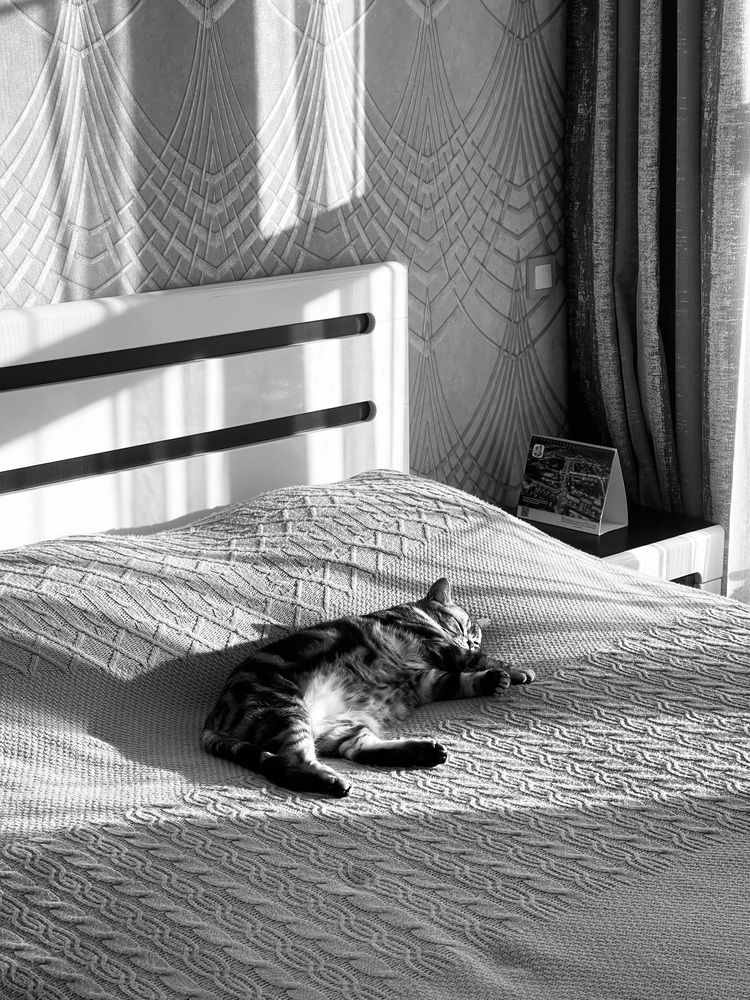 Photograph by Елена Сушкова