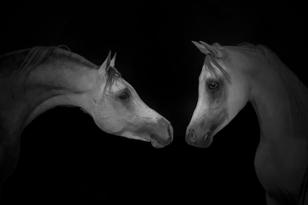 Photograph by Eslam Ahmed