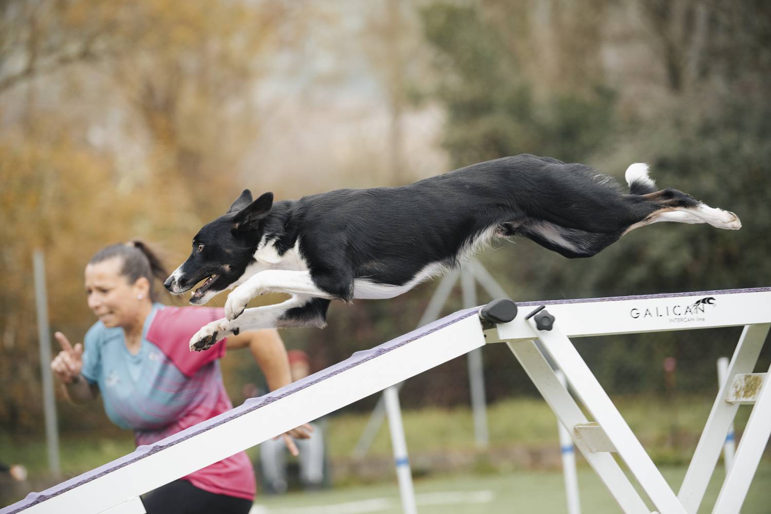 Photo #12169024