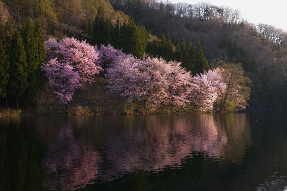 Фотография автора Kaneko Atsushi