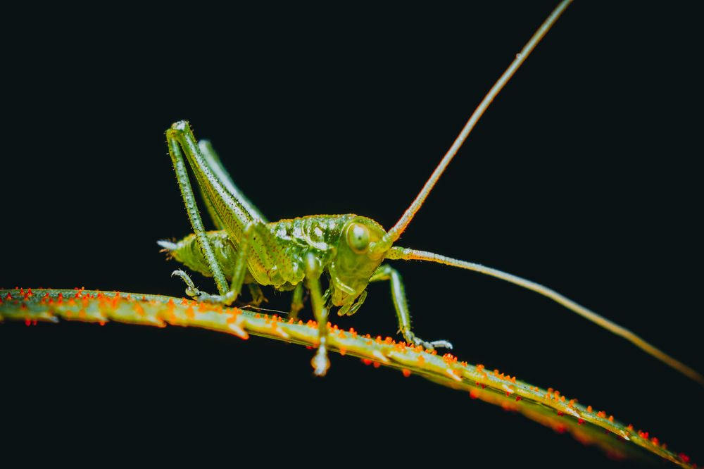 Photograph by Максим Юрлов