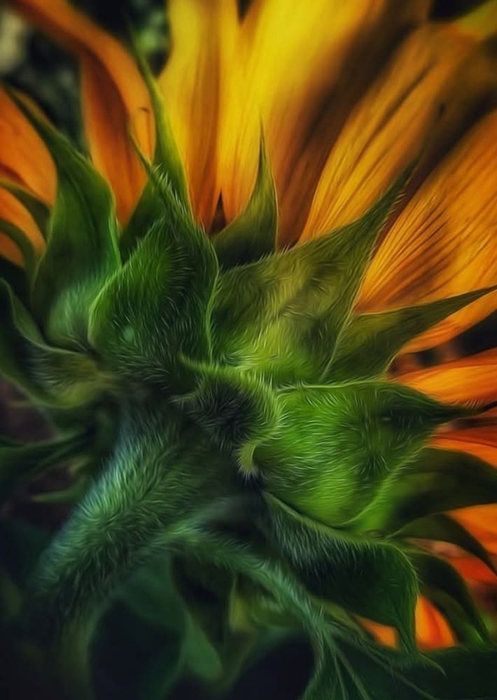 Photograph by Polina Svirida