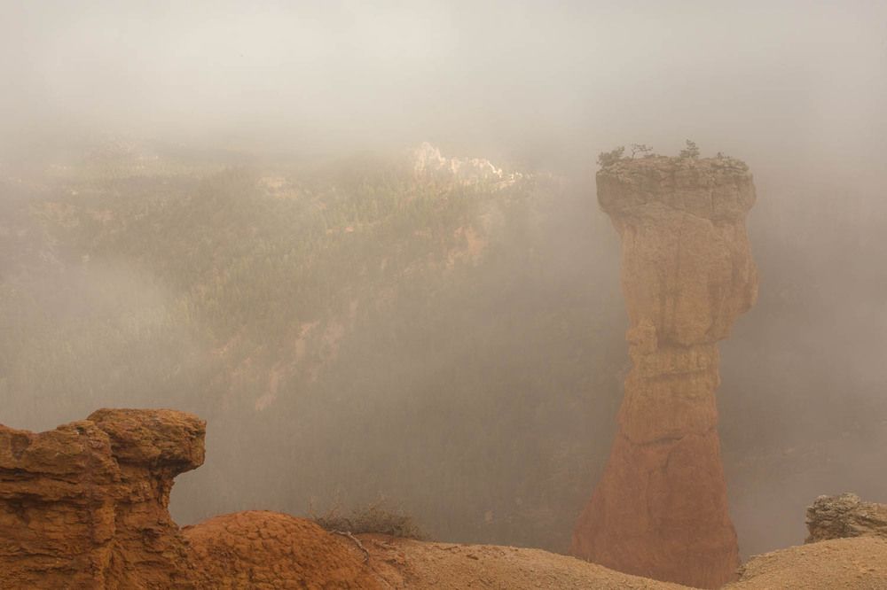 Photograph by Ольга Петруша