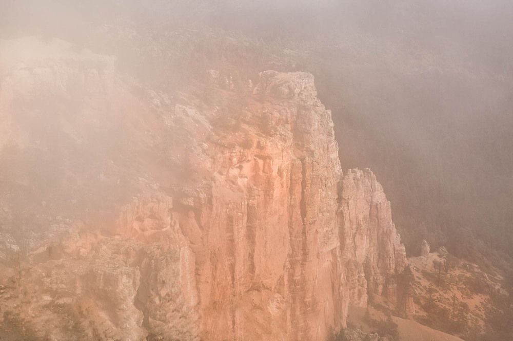 Photograph by Ольга Петруша