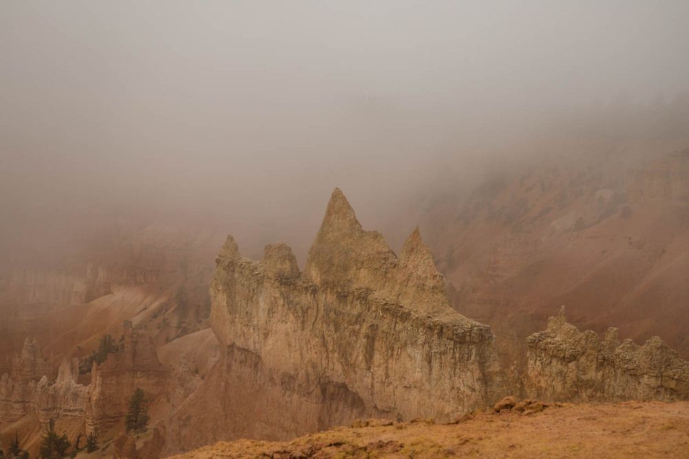 Photograph by Ольга Петруша