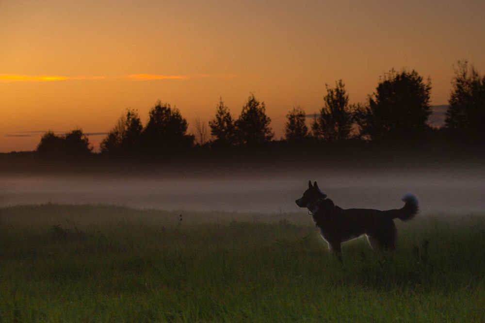Photograph by Ольга Петруша