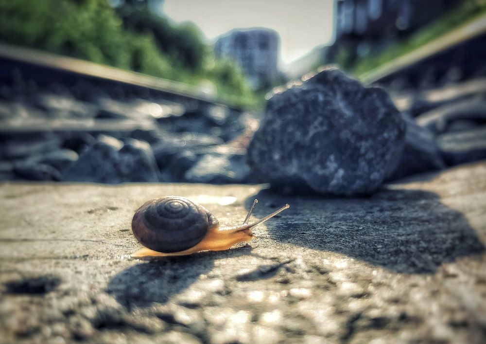 Photograph by Виталий Николаевич