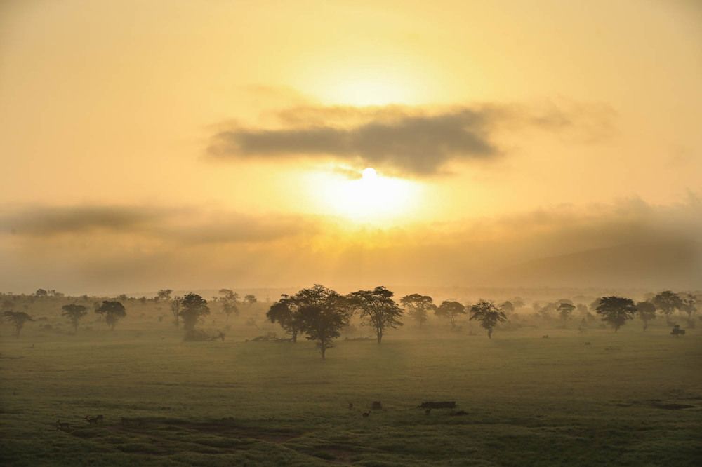Photograph by Ольга Петруша