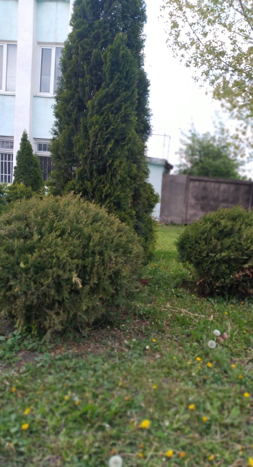 Photo #12169579