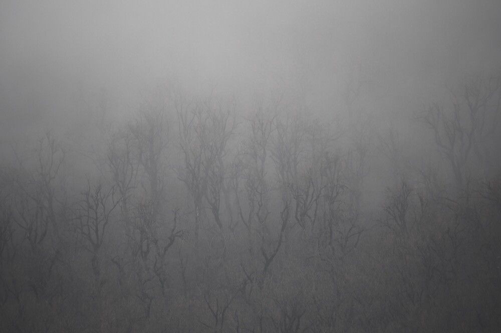 Photograph by Сергей Пушкин