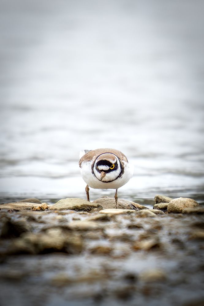 Photograph by Aleksandr Solovev