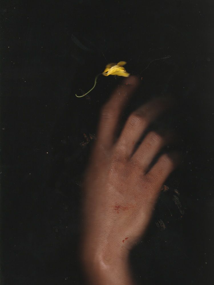 Фотография автора Ibraheem Alsaid