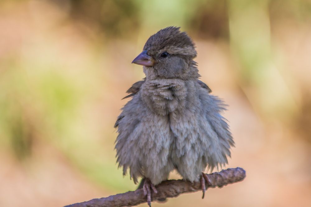 Photograph by Дмитрий Пасынков