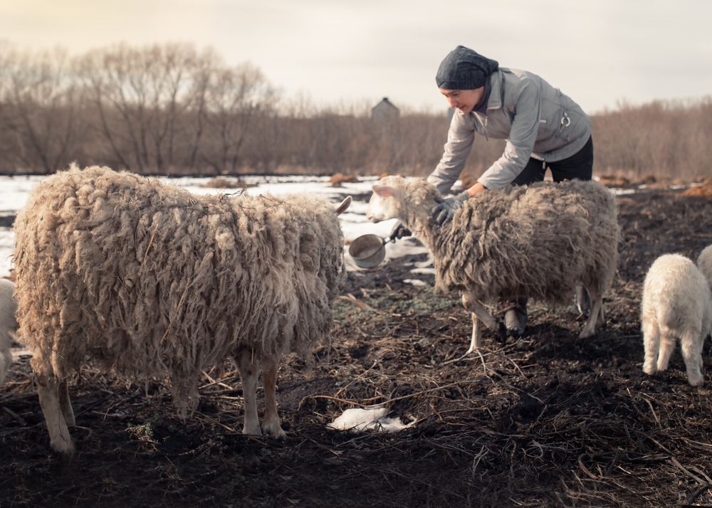 Photograph by Тамара Вотинцева