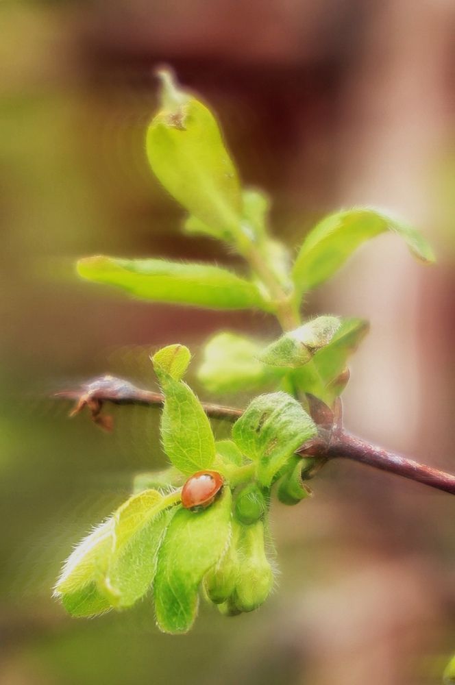 Photograph by Илья Медведев