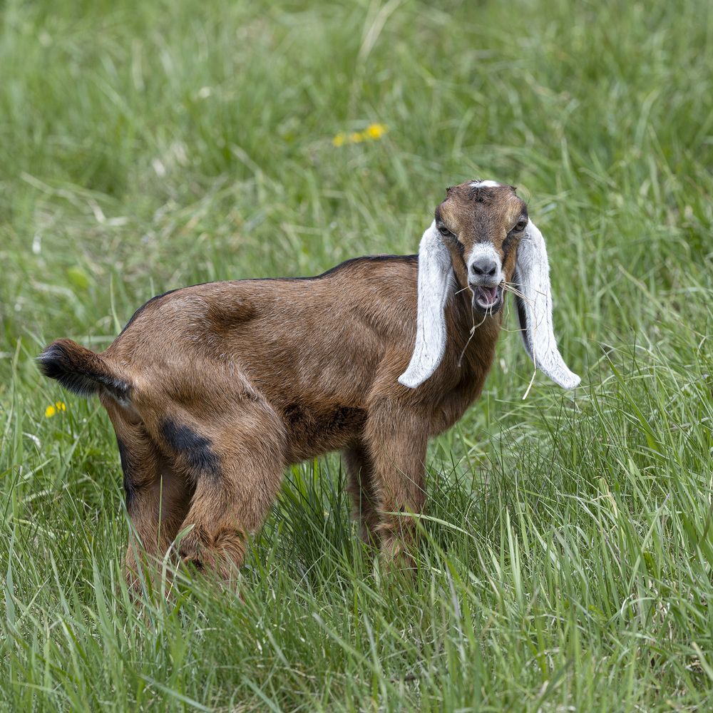 Фотография автора Анатолий Макоедов