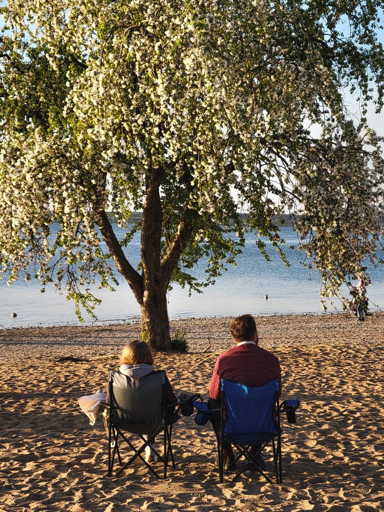 Photograph by Алина