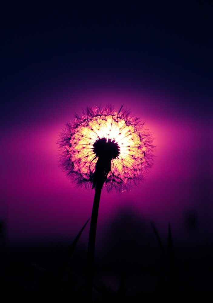 Photograph by Данила Захаров