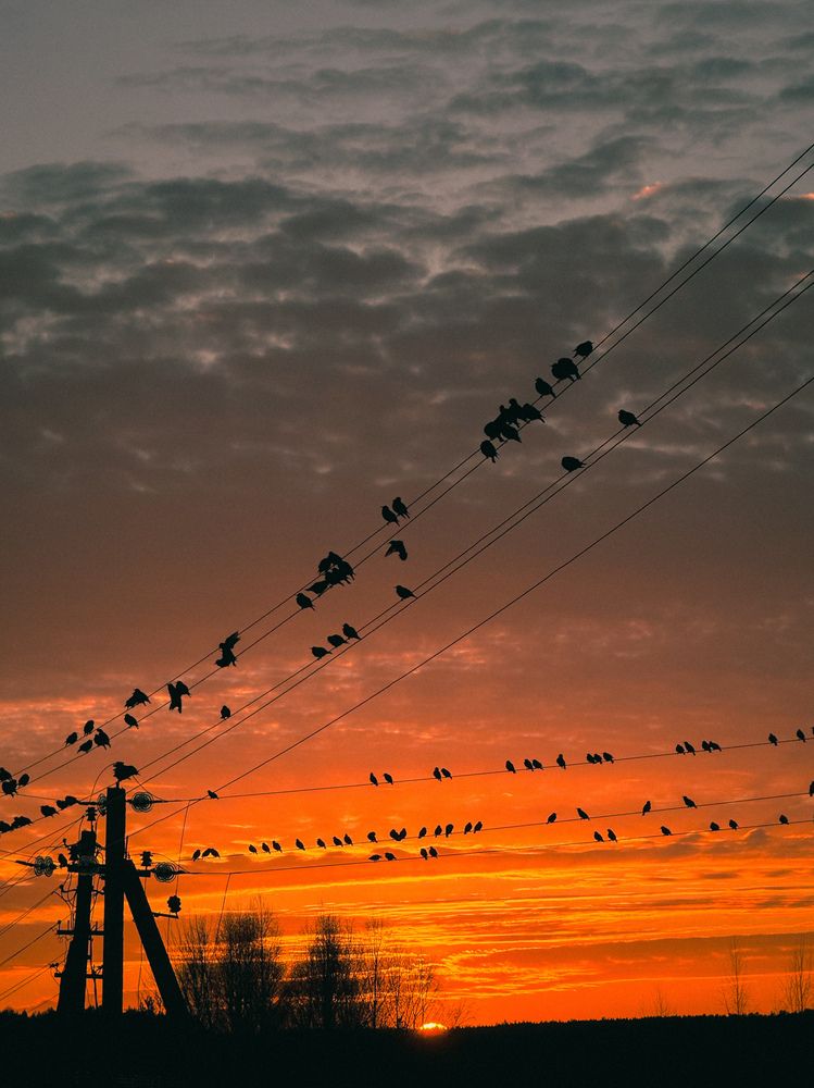 Photograph by Елена Башмакова