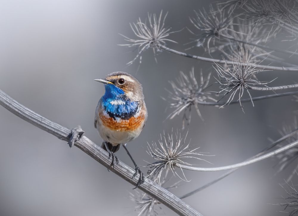 Photograph by Дарья