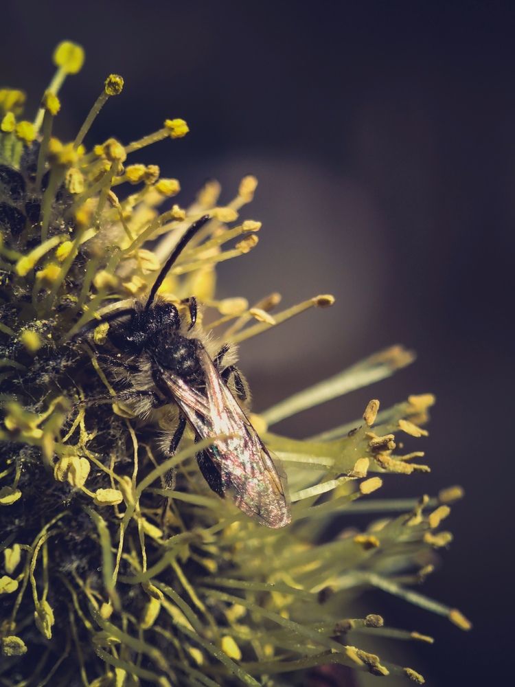 Photograph by Юлия Носкова