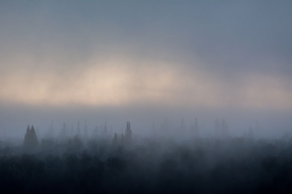 Photograph by Dmitrii