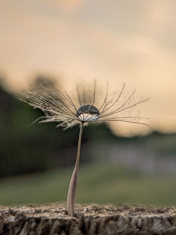 Photograph by Ирина Usanova