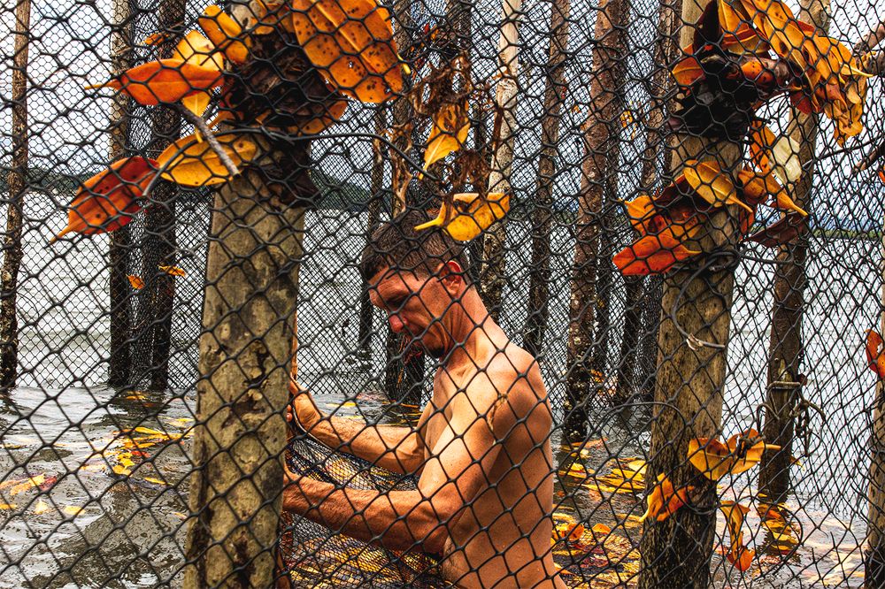 Photograph by Danilo Lima