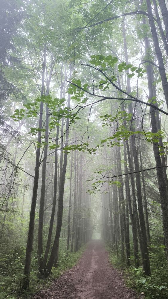 Photograph by ANDREY PERESHEIN