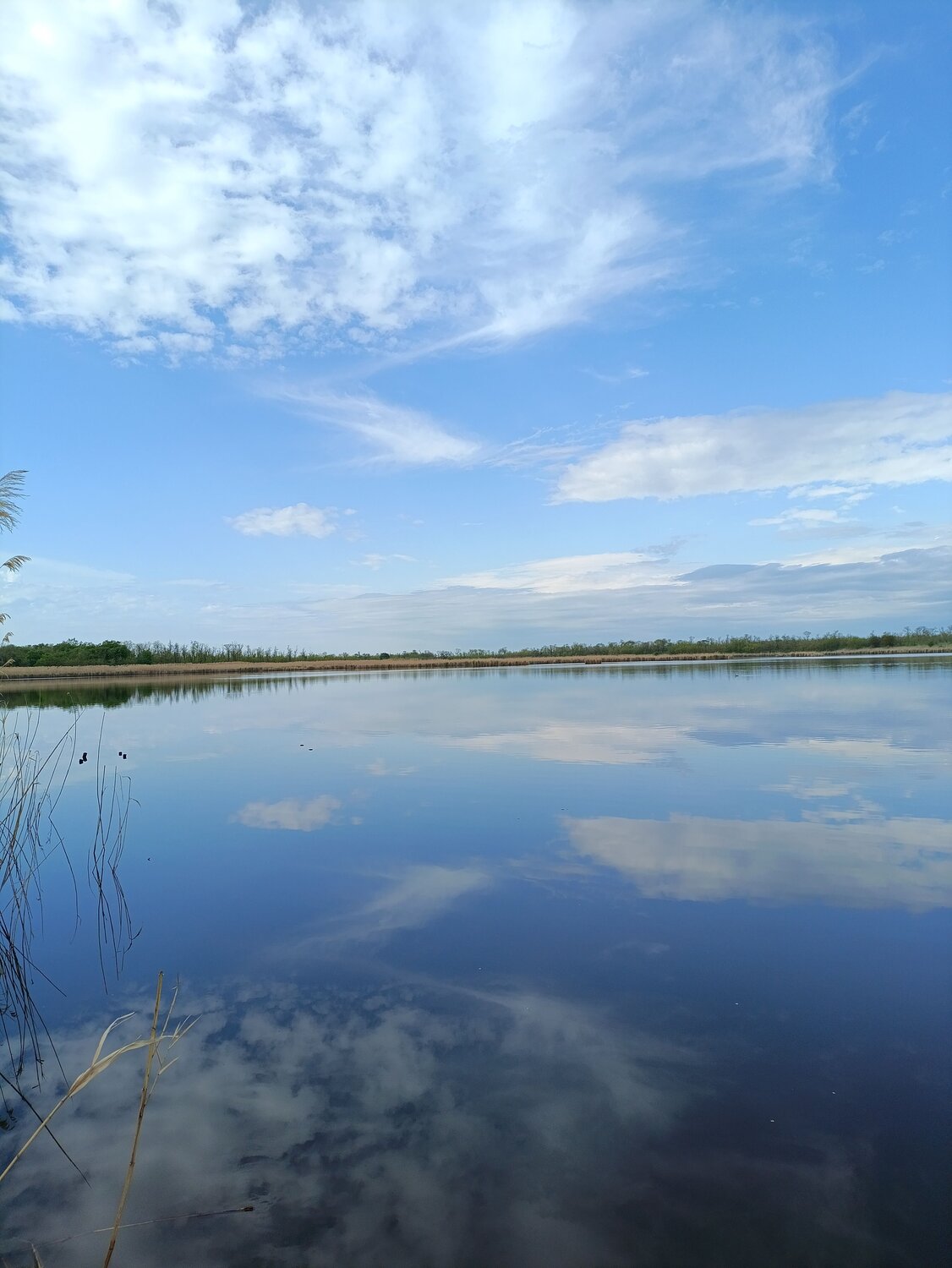 Photo #12171634