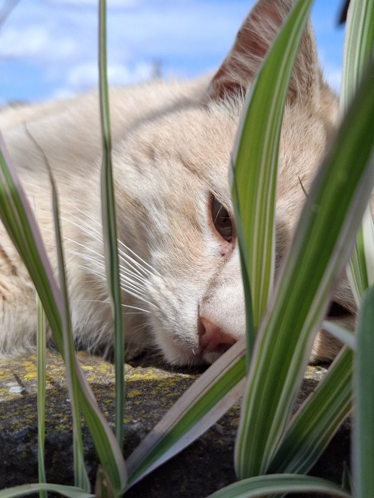 Photograph by Анна Степанова