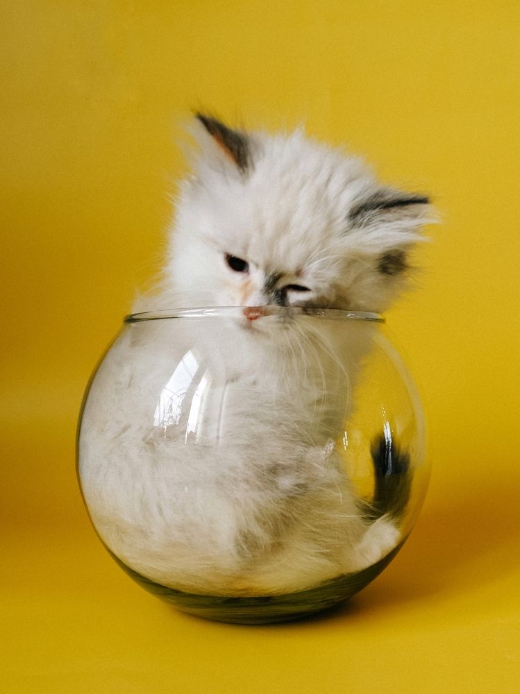 Фотография автора Евгения Никишина