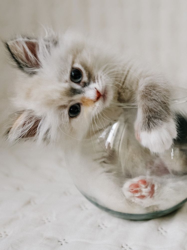 Фотография автора Евгения Никишина