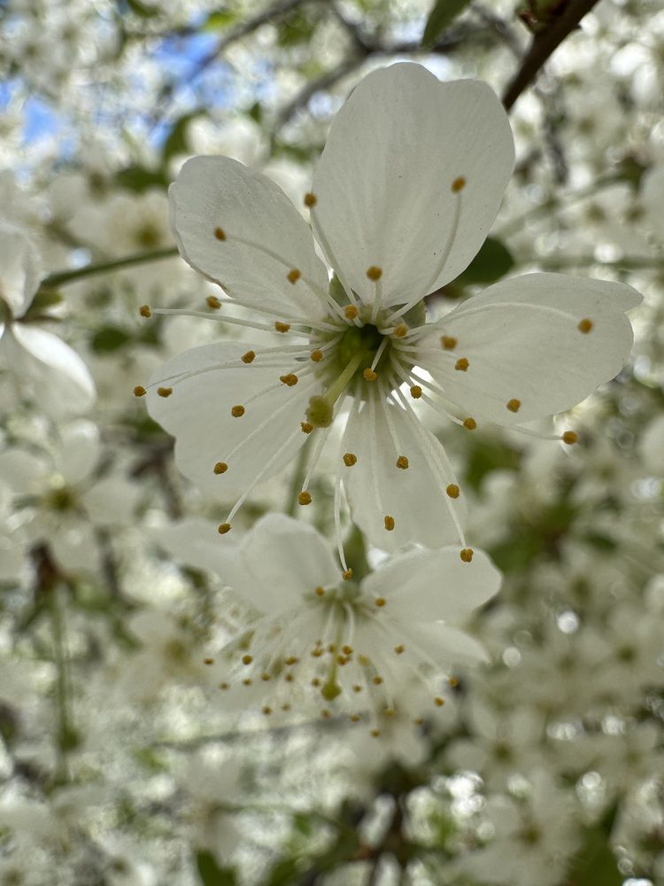 Photograph by Марина Сальникова
